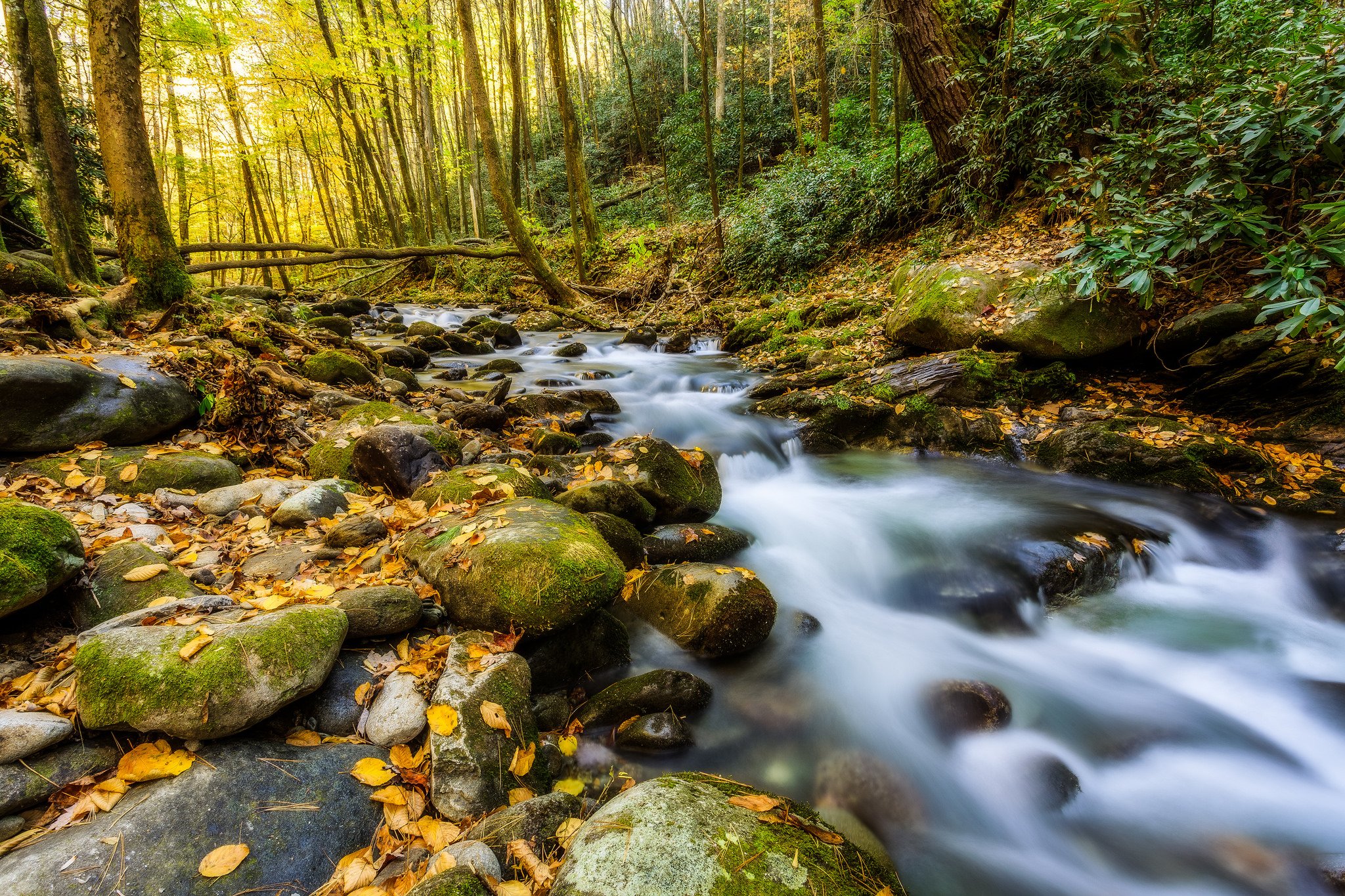 usa, Parks, Stones, Forests, Autumn, Stream, Moss, Great, Smoky, Mountains, Nature Wallpaper
