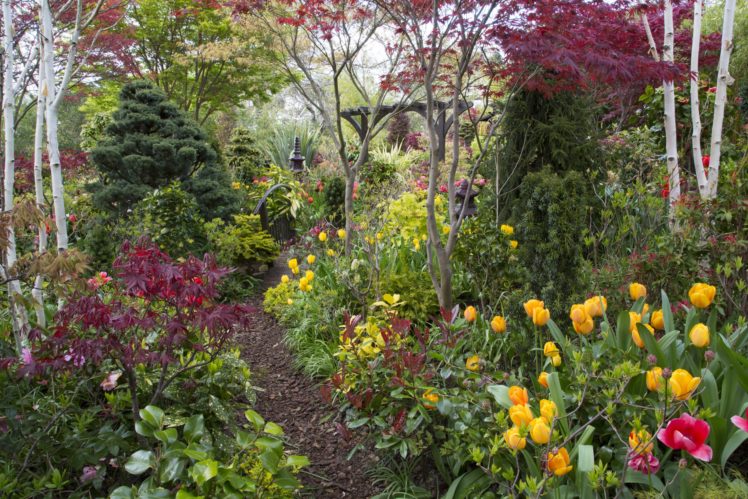 england, Gardens, Tulips, Shrubs, Walsall, Garden, Nature HD Wallpaper Desktop Background