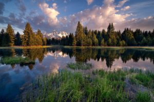 scenery, Usa, Parks, Lake, Forests, Sky, Clouds, Grass, Grand, Teton, National, Park, Nature