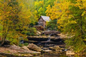 autumn, Usa, Mill, Stream, Glade, Creek, Grist, Mill, Babcock, State, Park, West, Virginia, Nature