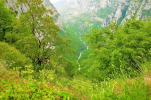 greece, Mountains, Grass, Voidomatis, Nature