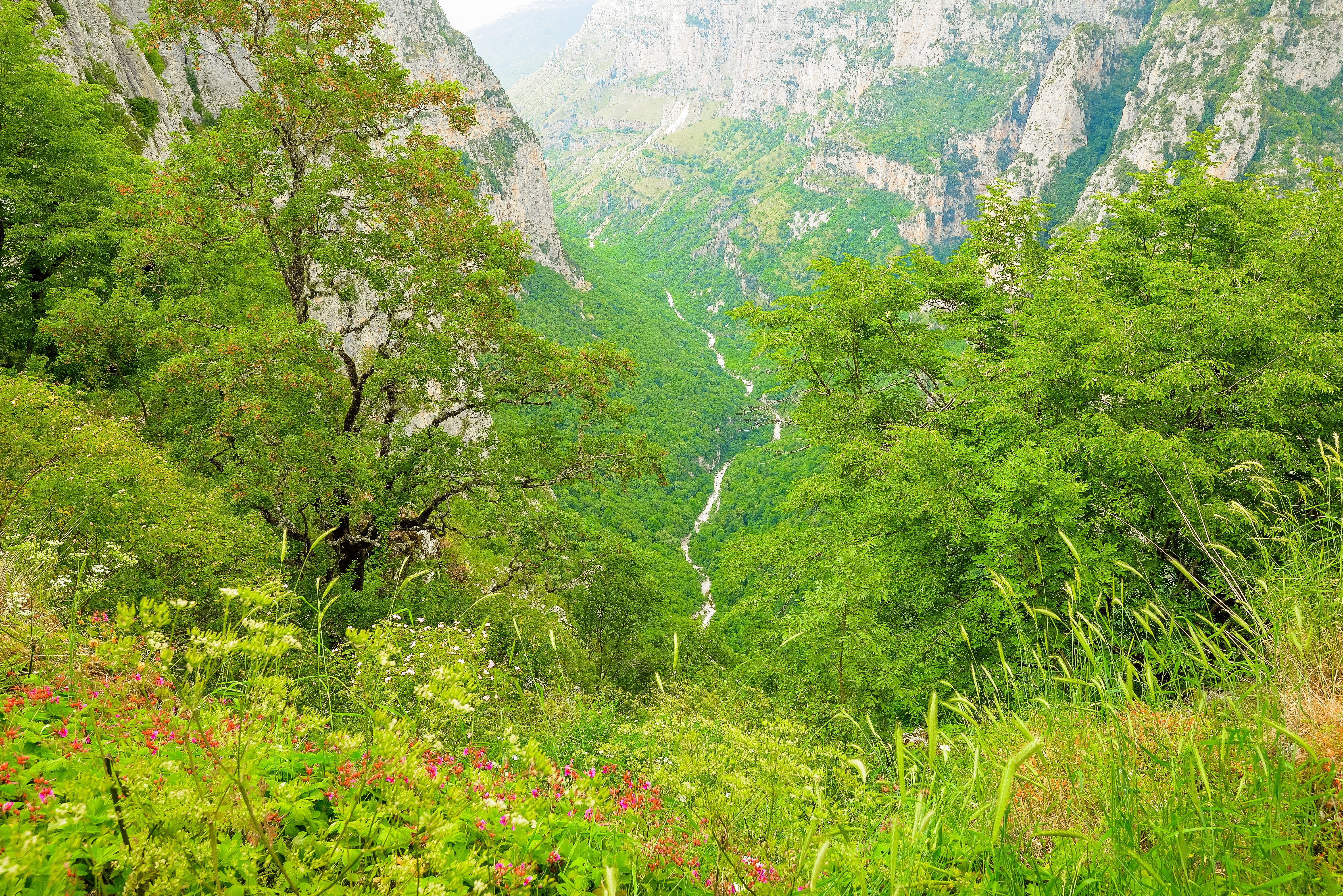 greece, Mountains, Grass, Voidomatis, Nature Wallpaper