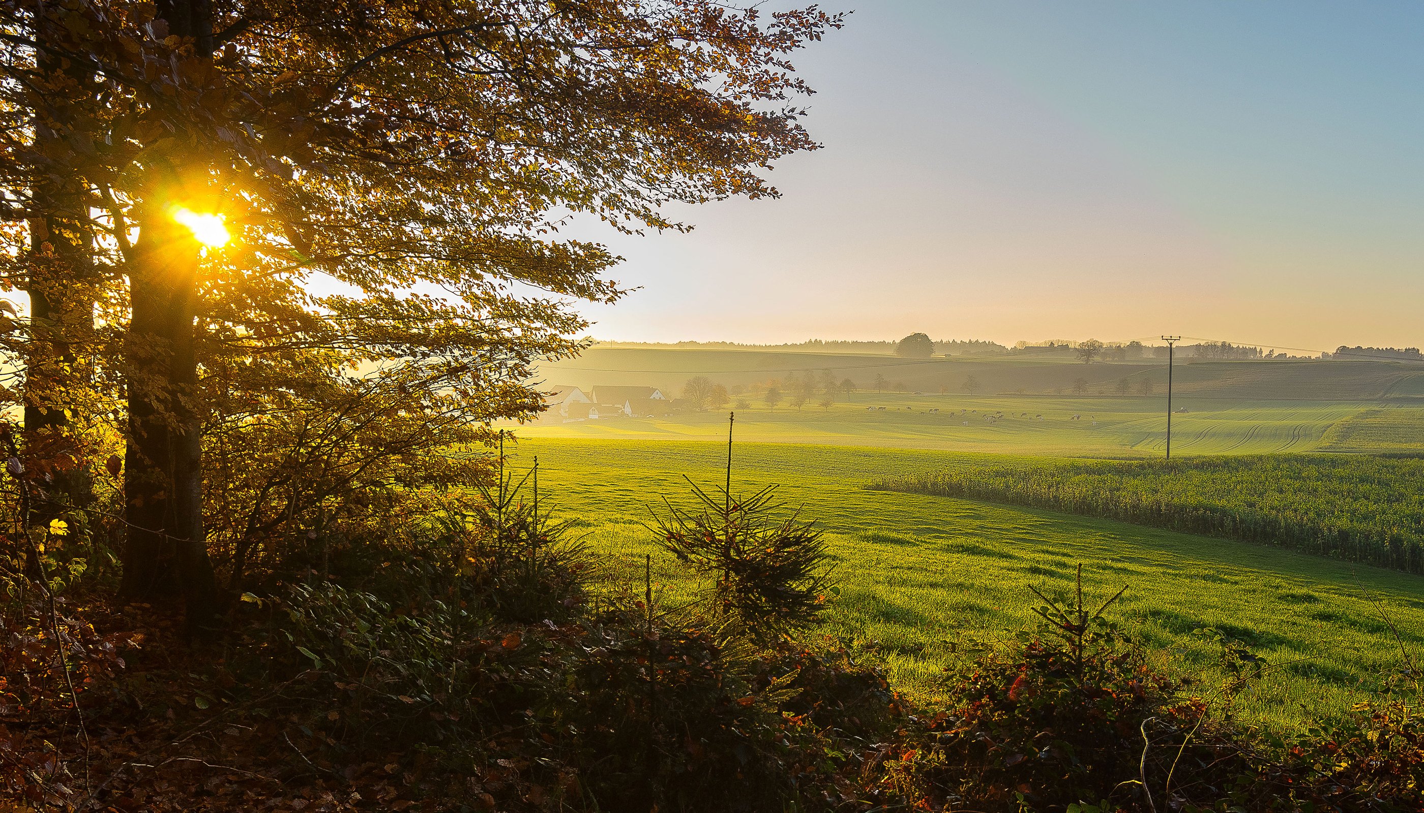 germany, Fields, Trees, Rays, Of, Light, Oberschwaben, Nature Wallpaper