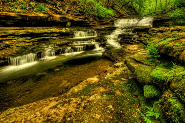 waterfalls, Usa, Stream, Meadow, Creek, Cascades, Wayne, County, Kentucky, Nature HD Wallpaper Desktop Background