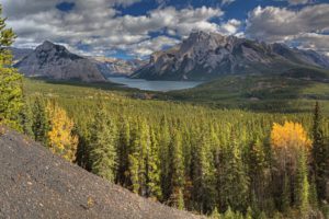 mountains, Canada, Scenery, Forests, Banff, Alberta, Nature