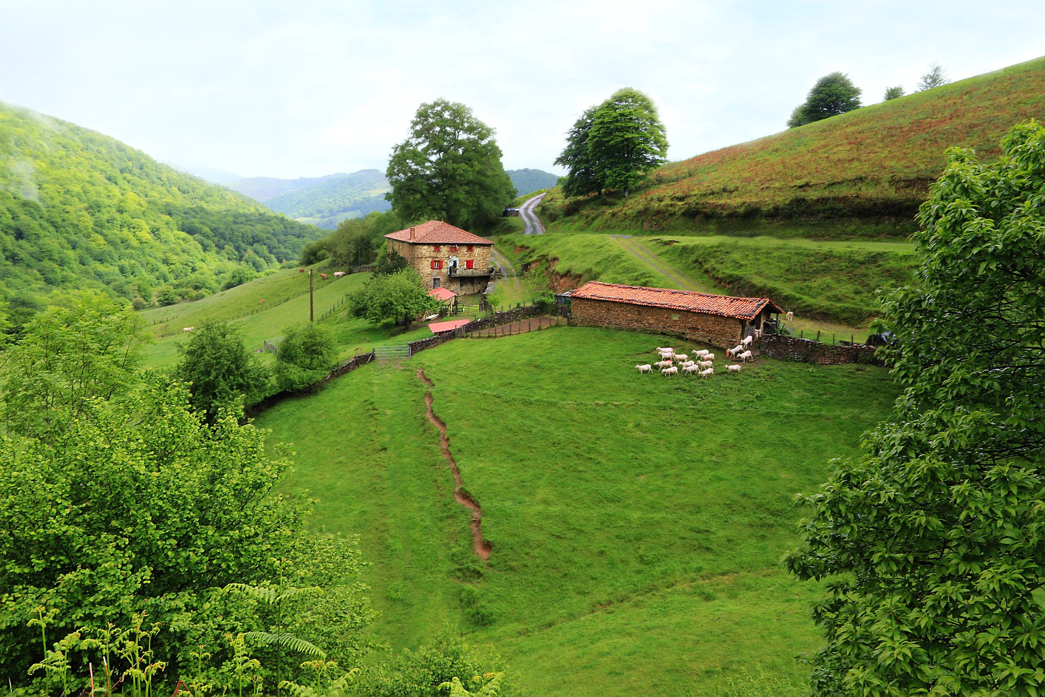 spain, Grasslands, Houses, Irurita, Navarre, Nature Wallpaper