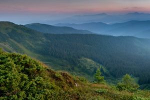 ukraine, Mountains, Forests, Carpathians, Zakarpattia, Nature