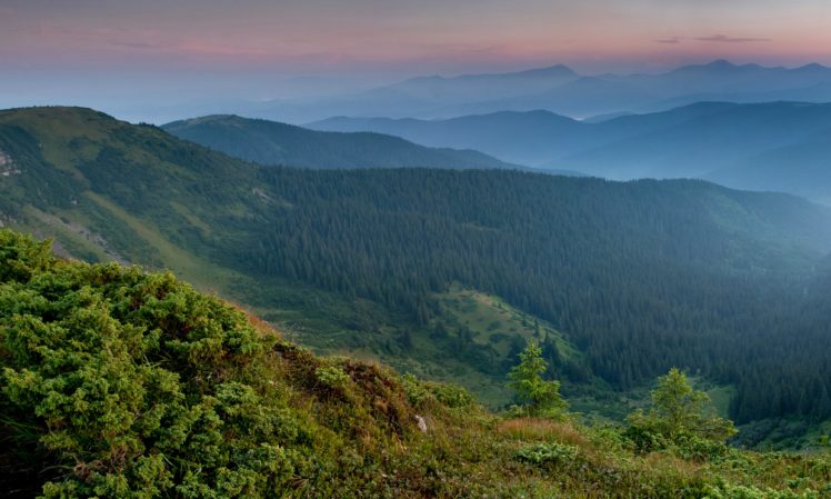 ukraine, Mountains, Forests, Carpathians, Zakarpattia, Nature HD Wallpaper Desktop Background