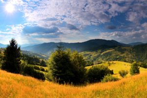 ukraine, Scenery, Mountains, Carpathians, Fir, Grass, Clouds, Nature