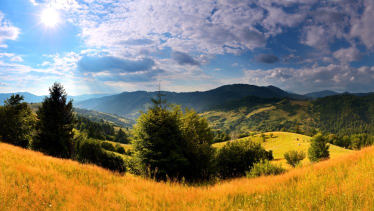 ukraine, Scenery, Mountains, Carpathians, Fir, Grass, Clouds, Nature HD Wallpaper Desktop Background