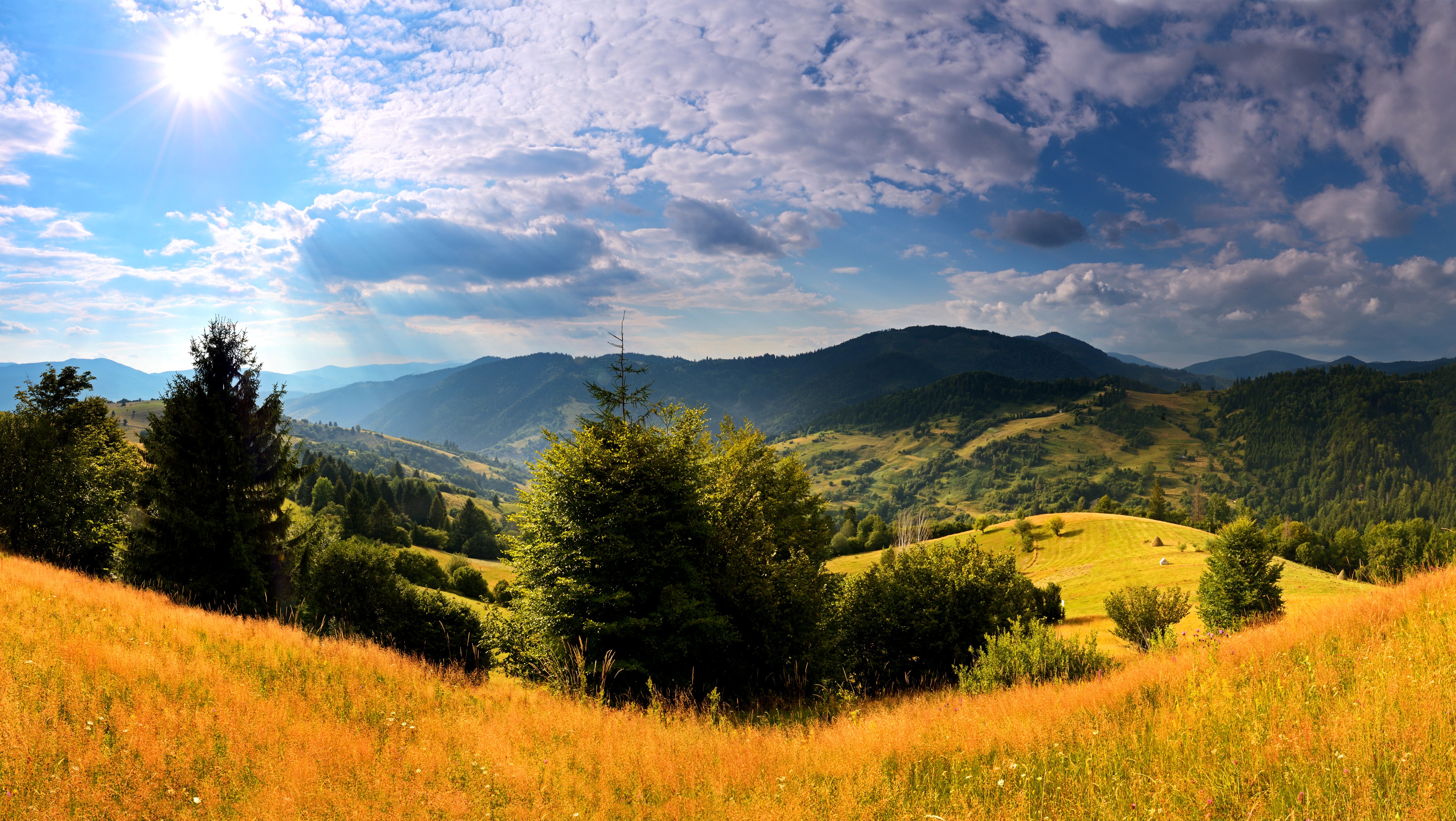 ukraine, Scenery, Mountains, Carpathians, Fir, Grass, Clouds, Nature Wallpaper