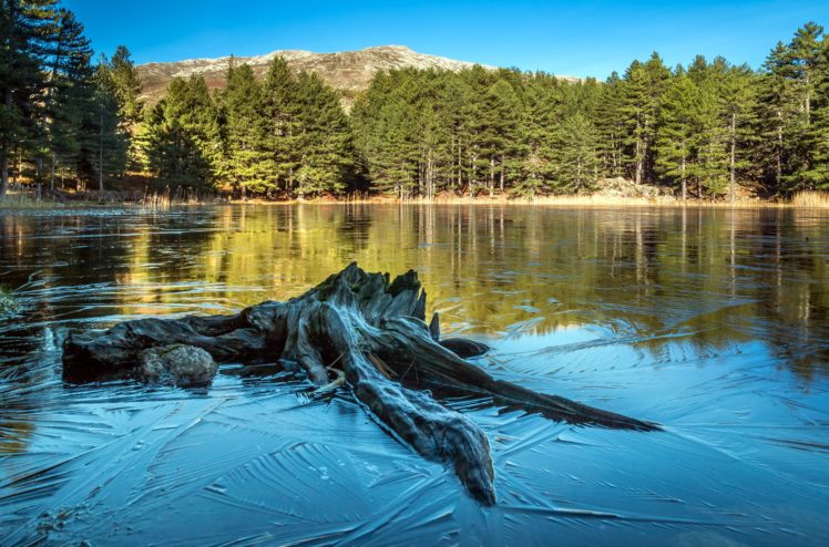france, Lake, Forests, Tree, Stump, Trees, Corsica, Nature HD Wallpaper Desktop Background