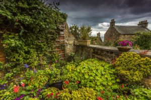 scotland, Gardens, Pitenweem, Nature