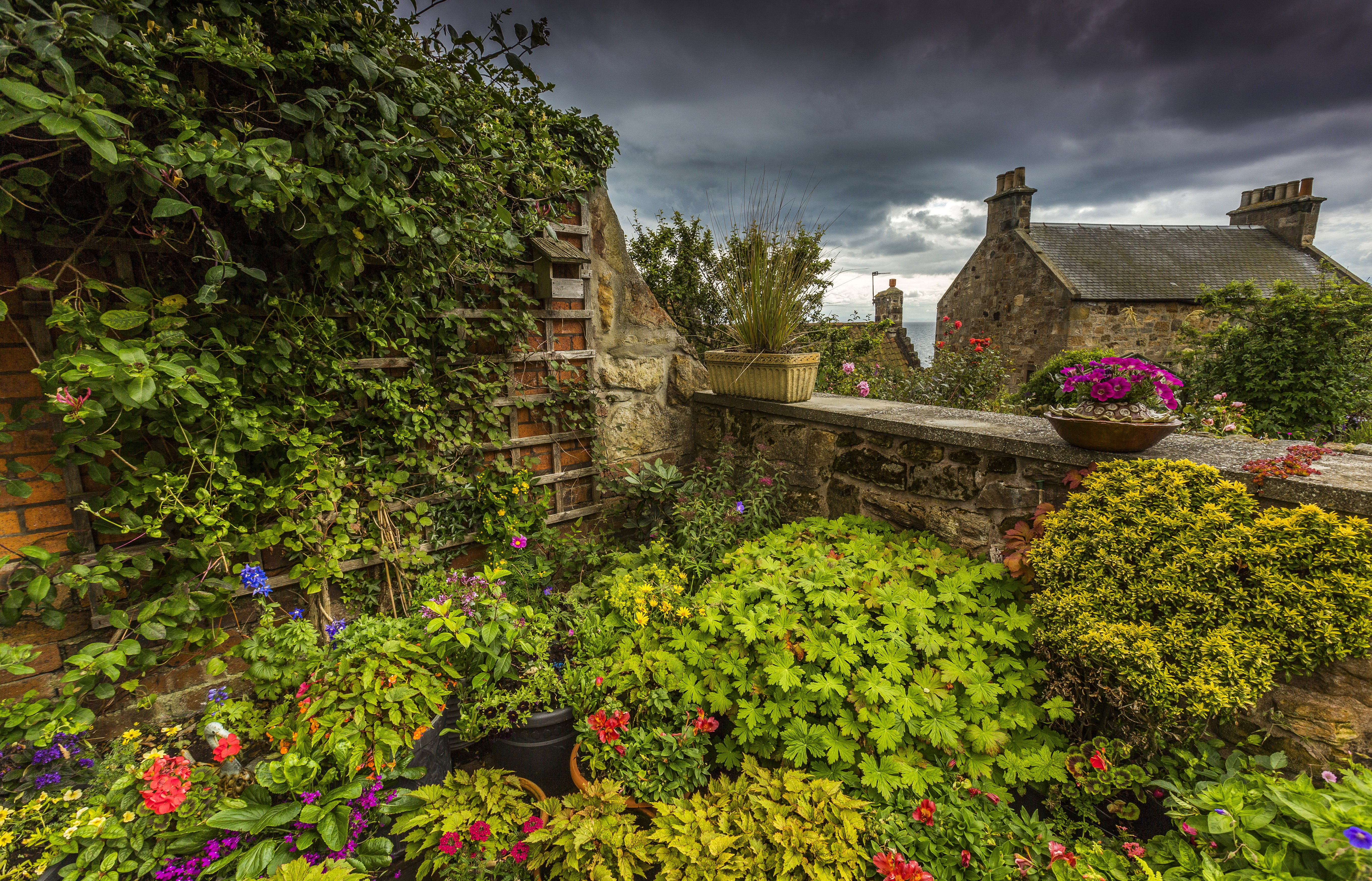 scotland, Gardens, Pitenweem, Nature Wallpaper
