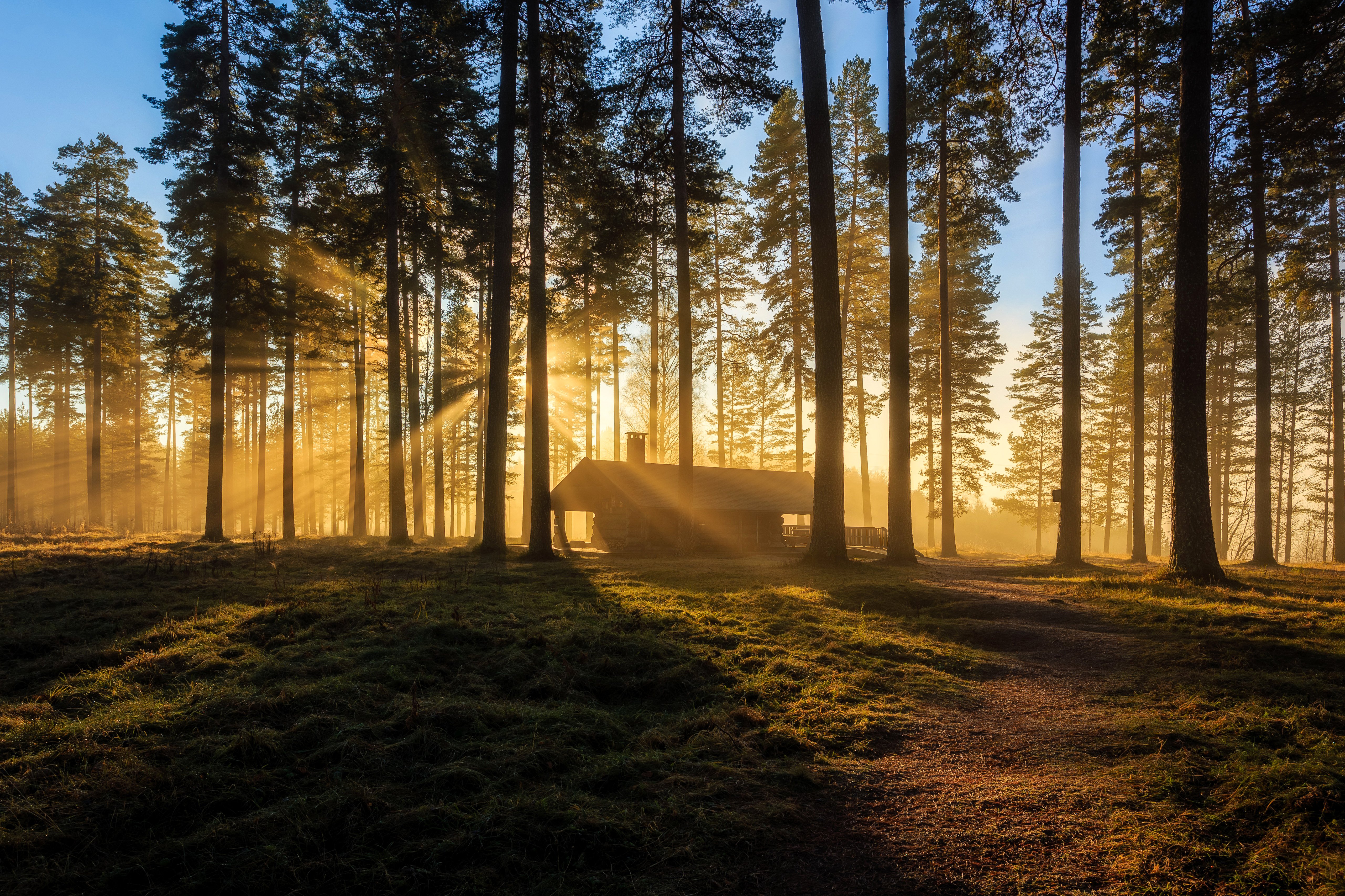 sweden, Forests, Houses, Trees, Rays, Of, Light, Arvika, Nature Wallpaper