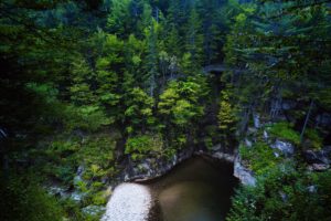 usa, Forests, Canyon, Trees, Grafton, New, Hampshire, Nature