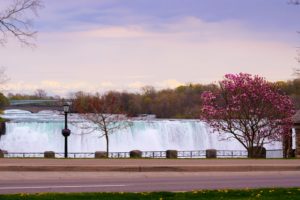 canada, Waterfalls, Flowering, Trees, Niagara, Falls, Nature