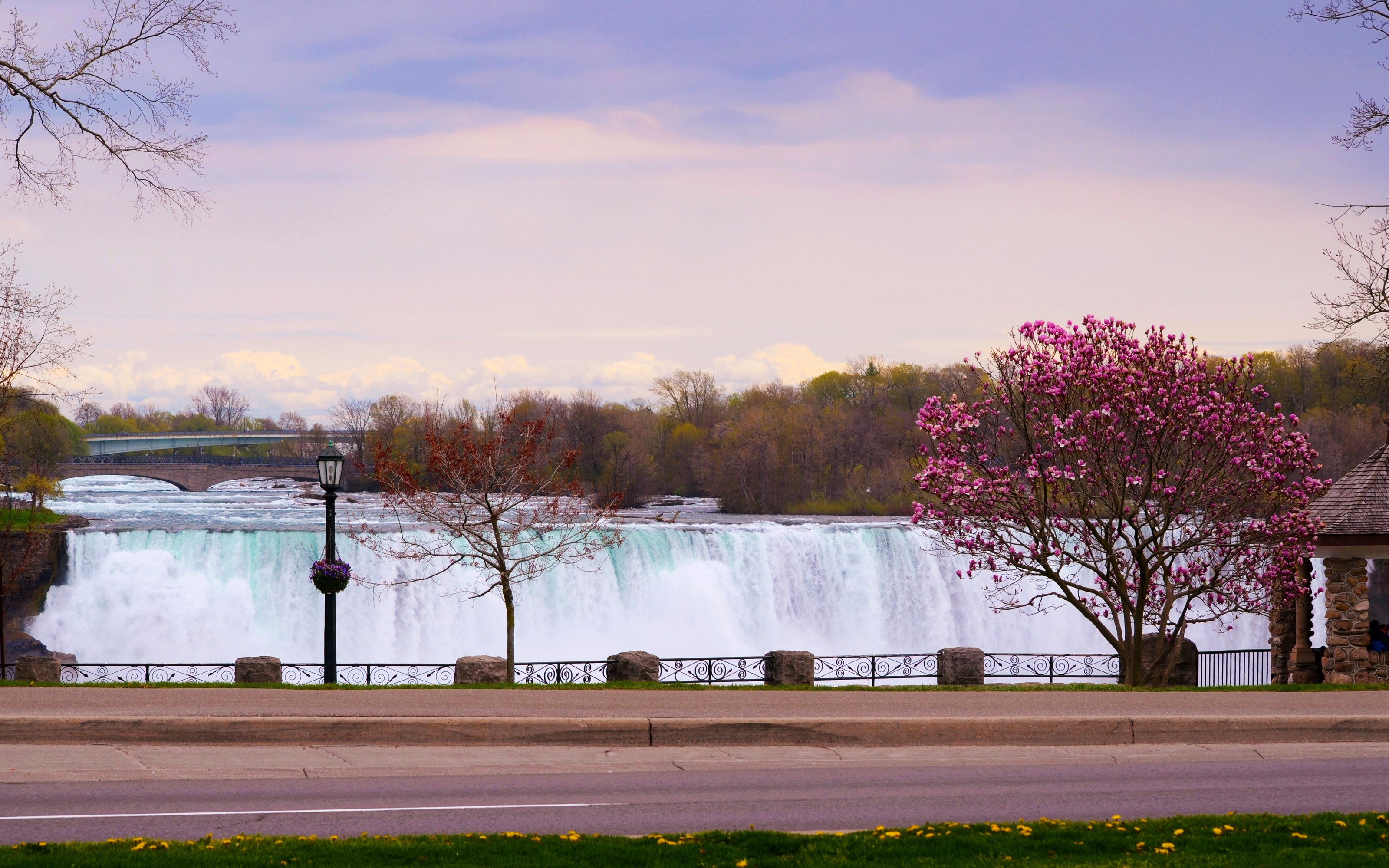 canada, Waterfalls, Flowering, Trees, Niagara, Falls, Nature Wallpaper