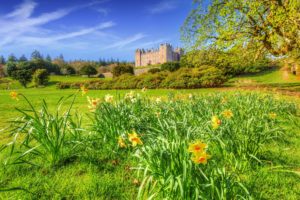 united, Kingdom, Castles, Spring, Daffodils, Shrubs, Grass, Hdr, Drumlanrig, Castle, Cities, Nature
