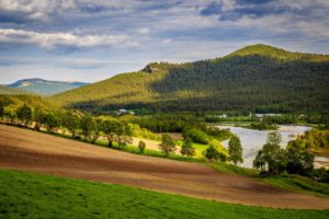 norway, Scenery, Mountains, Fields, Rivers, Forests, Trees, Dovre, Nature