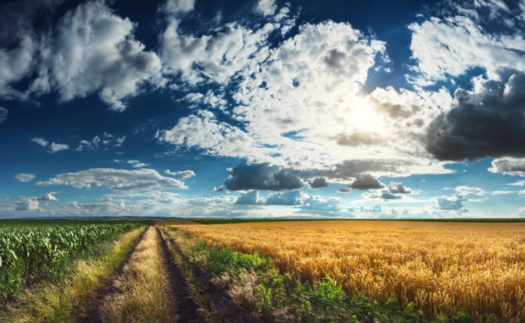 scenery, Fields, Sky, Roads, Clouds, Grass, Nature HD Wallpaper Desktop Background