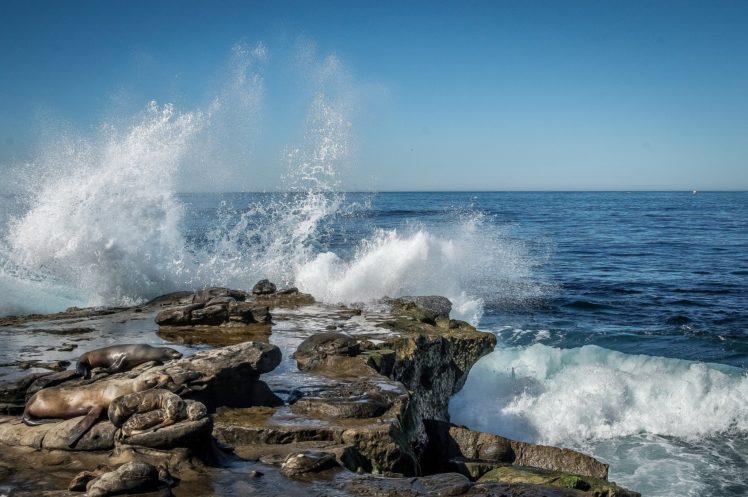 waves, Ocean, Usa, Spray, La, Jolla, California, Nature HD Wallpaper Desktop Background