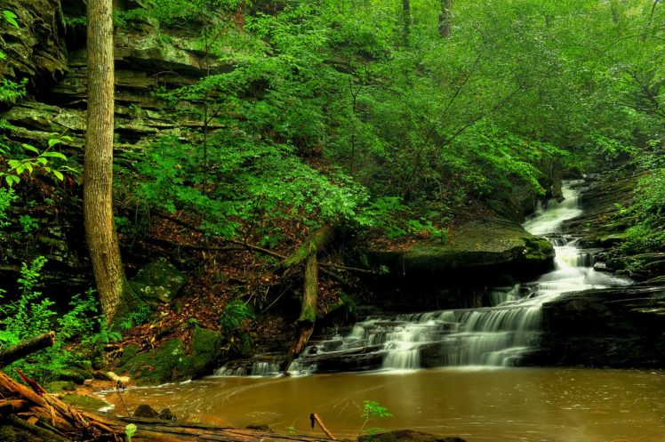 waterfalls, Stream, Nature HD Wallpaper Desktop Background
