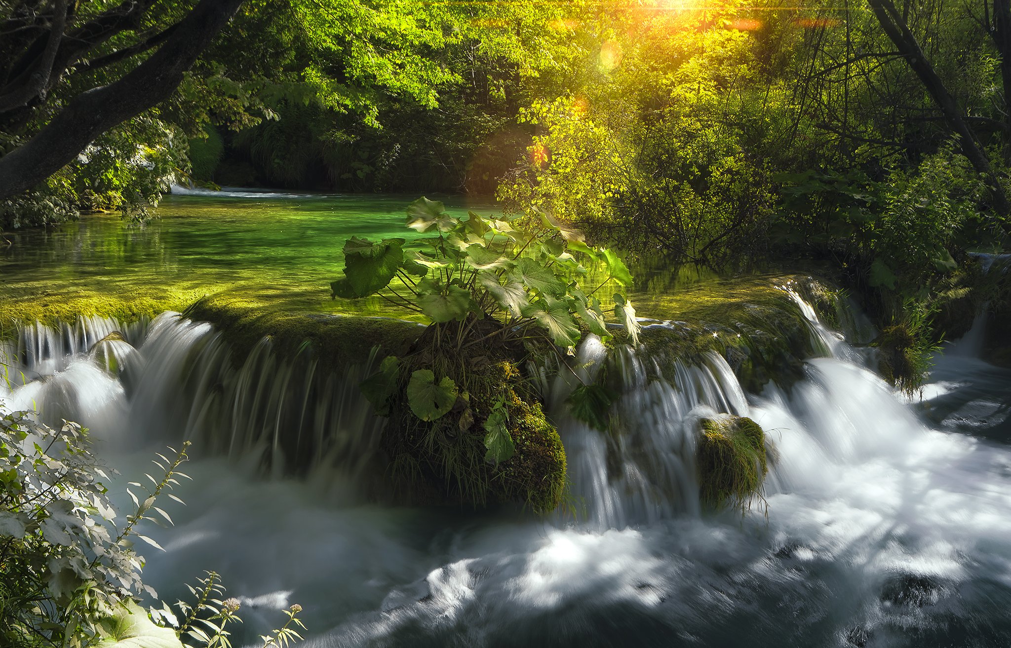 waterfalls, Croatia, Rivers, Parks, Plitvice, Lakes, Nature Wallpaper