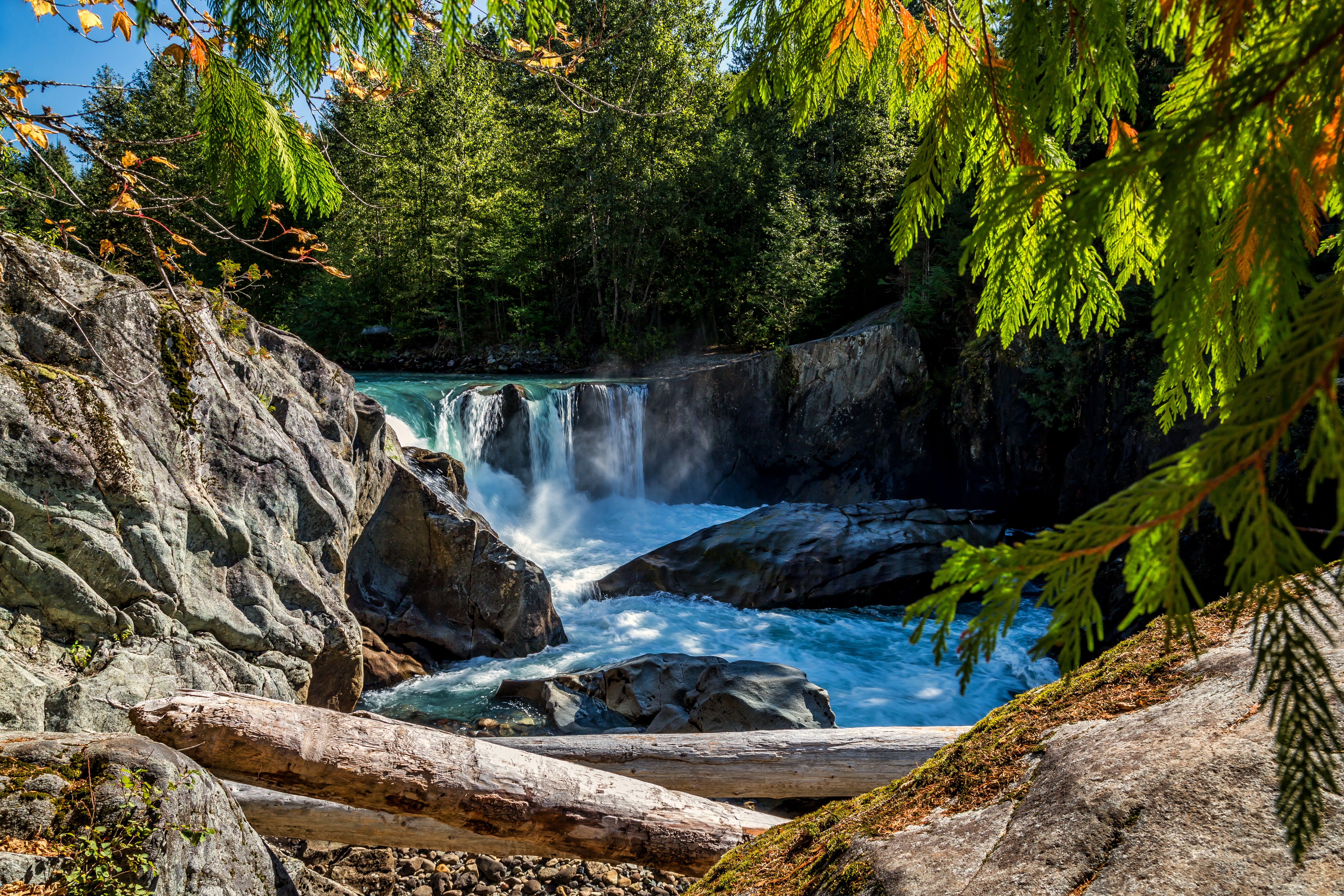 canada, Rivers, Waterfalls, Stones, Trees, Cheakamus, River, British, Columbia, Nature Wallpaper