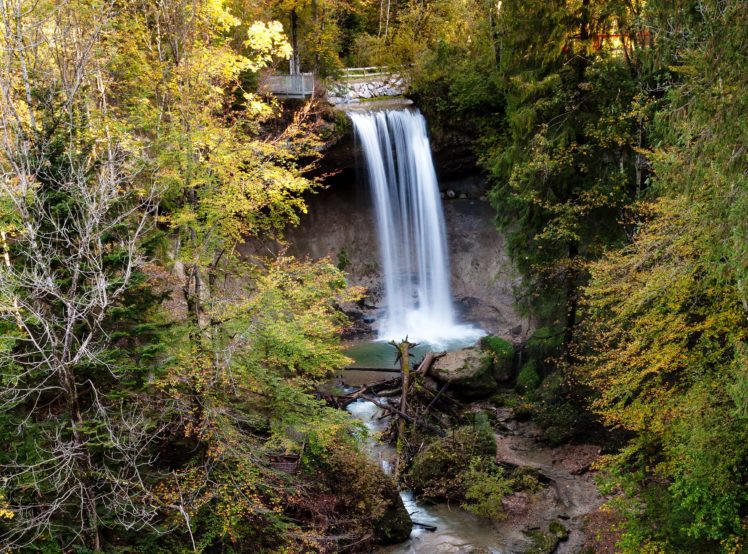 forests, Waterfalls, Nature HD Wallpaper Desktop Background