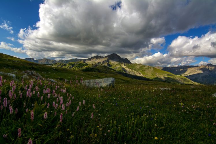 france, Scenery, Mountains, Lupinus, Grass, Clouds, Colmars, Nature HD Wallpaper Desktop Background