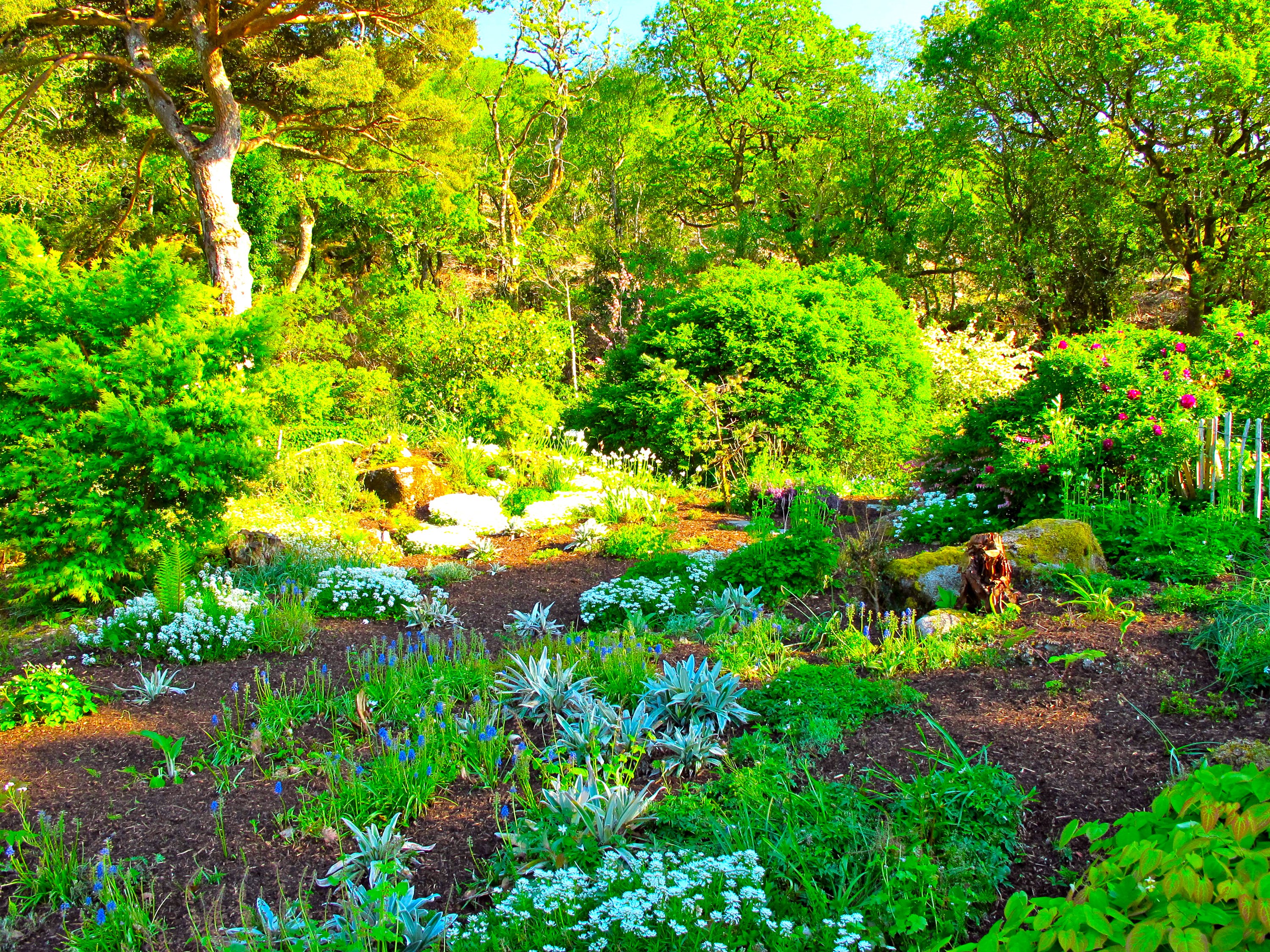 ireland, Parks, Shrubs, Glenveagh, National, Park, Nature Wallpaper