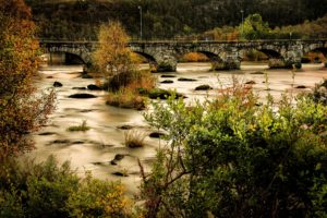 norway, Rivers, Bridges, Shrubs, Egersund, Nature