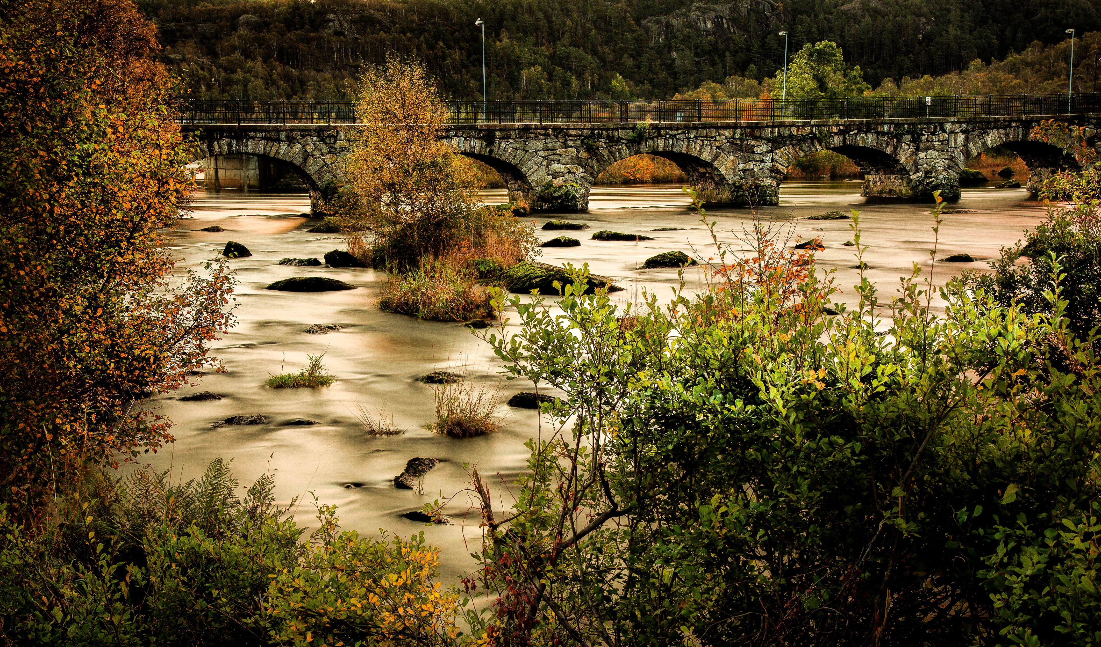 norway, Rivers, Bridges, Shrubs, Egersund, Nature Wallpaper