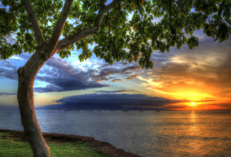 usa, Sunrises, And, Sunsets, Coast, Ocean, Trees, Hawaii, Hdr, Nature HD Wallpaper Desktop Background