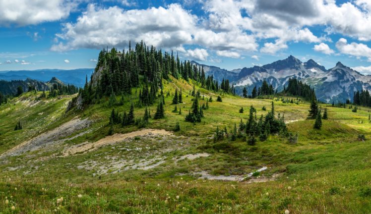 usa, Scenery, Mountains, Fir, Grass, Clouds, Nature HD Wallpaper Desktop Background