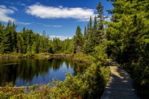 canada, Parks, Lake, Forests, Scenery, Trail, Mauricie, National, Park, Quebec, Nature