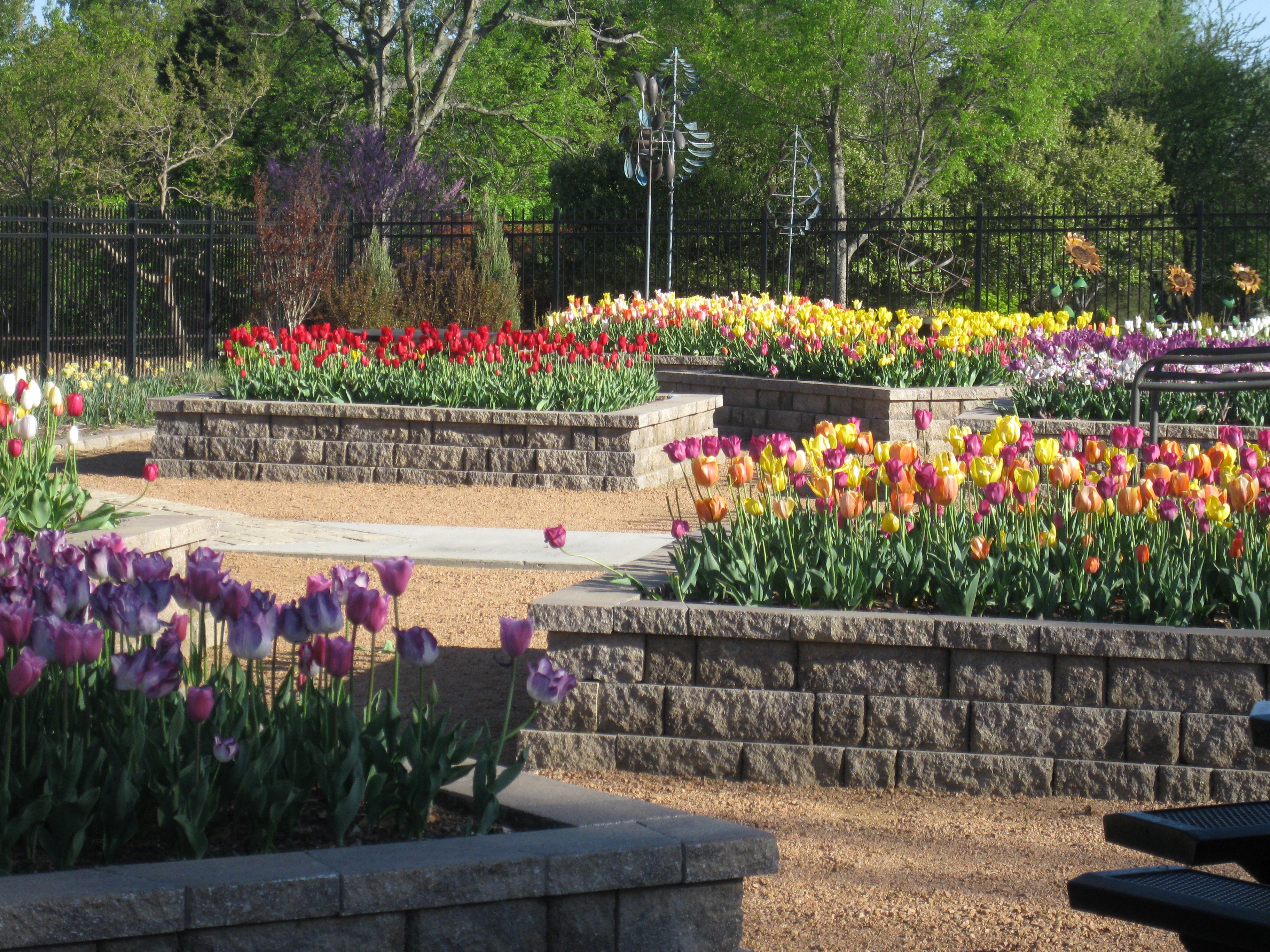 usa, Parks, Tulips, Honor, Heights, Park, Nature Wallpaper