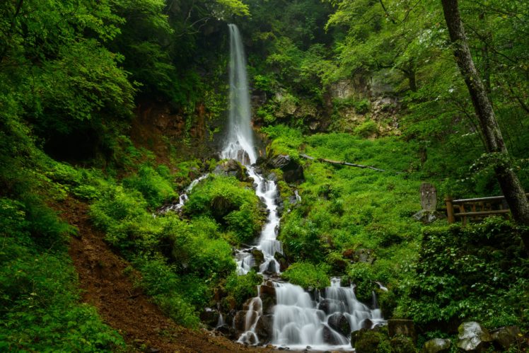 waterfalls, Grass, Nature HD Wallpaper Desktop Background