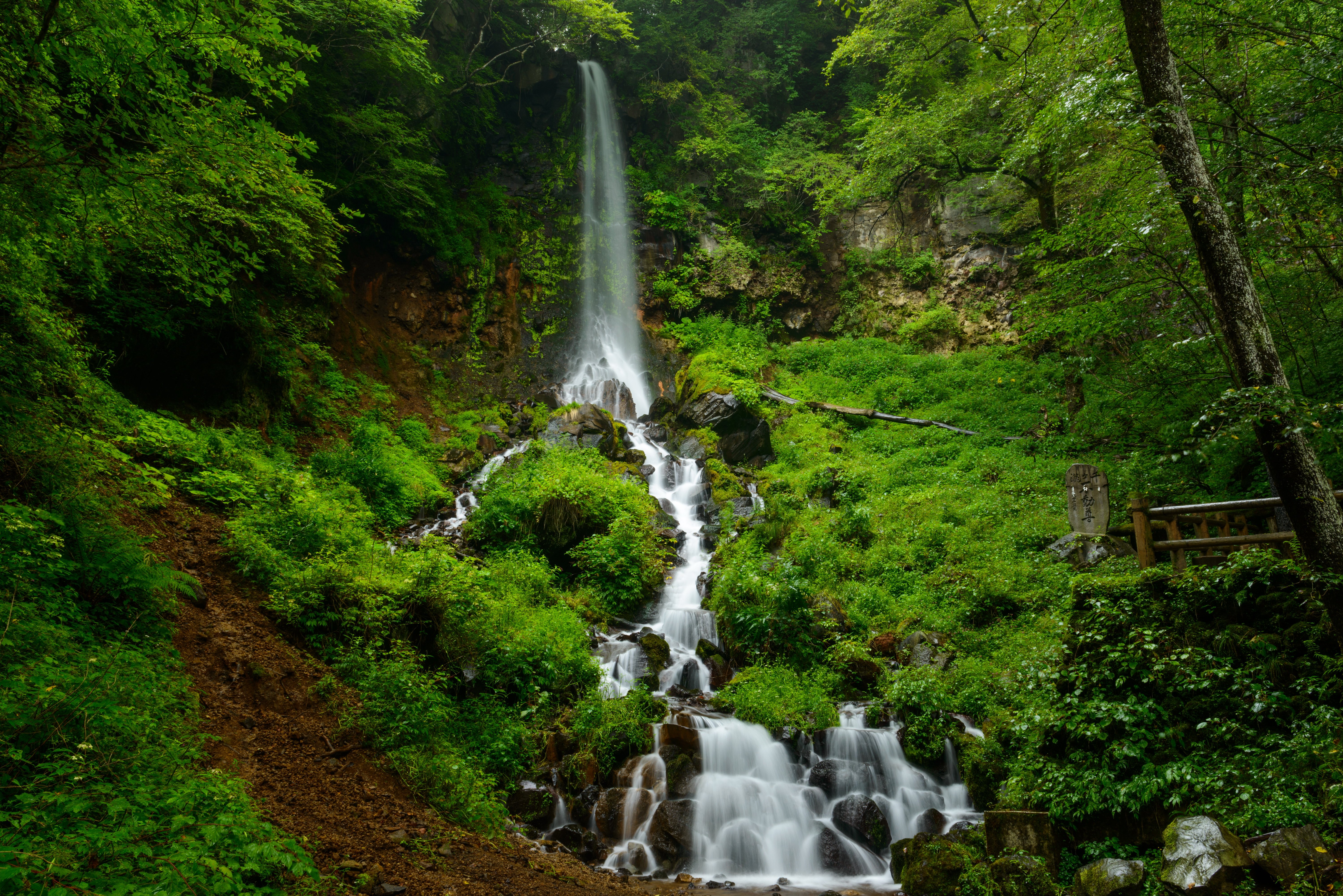 waterfalls, Grass, Nature Wallpaper