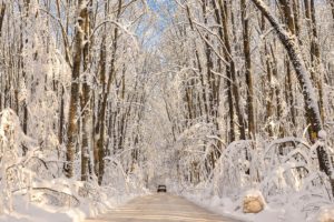 forests, Winter, Roads, Snow, Nature