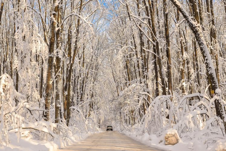 forests, Winter, Roads, Snow, Nature HD Wallpaper Desktop Background