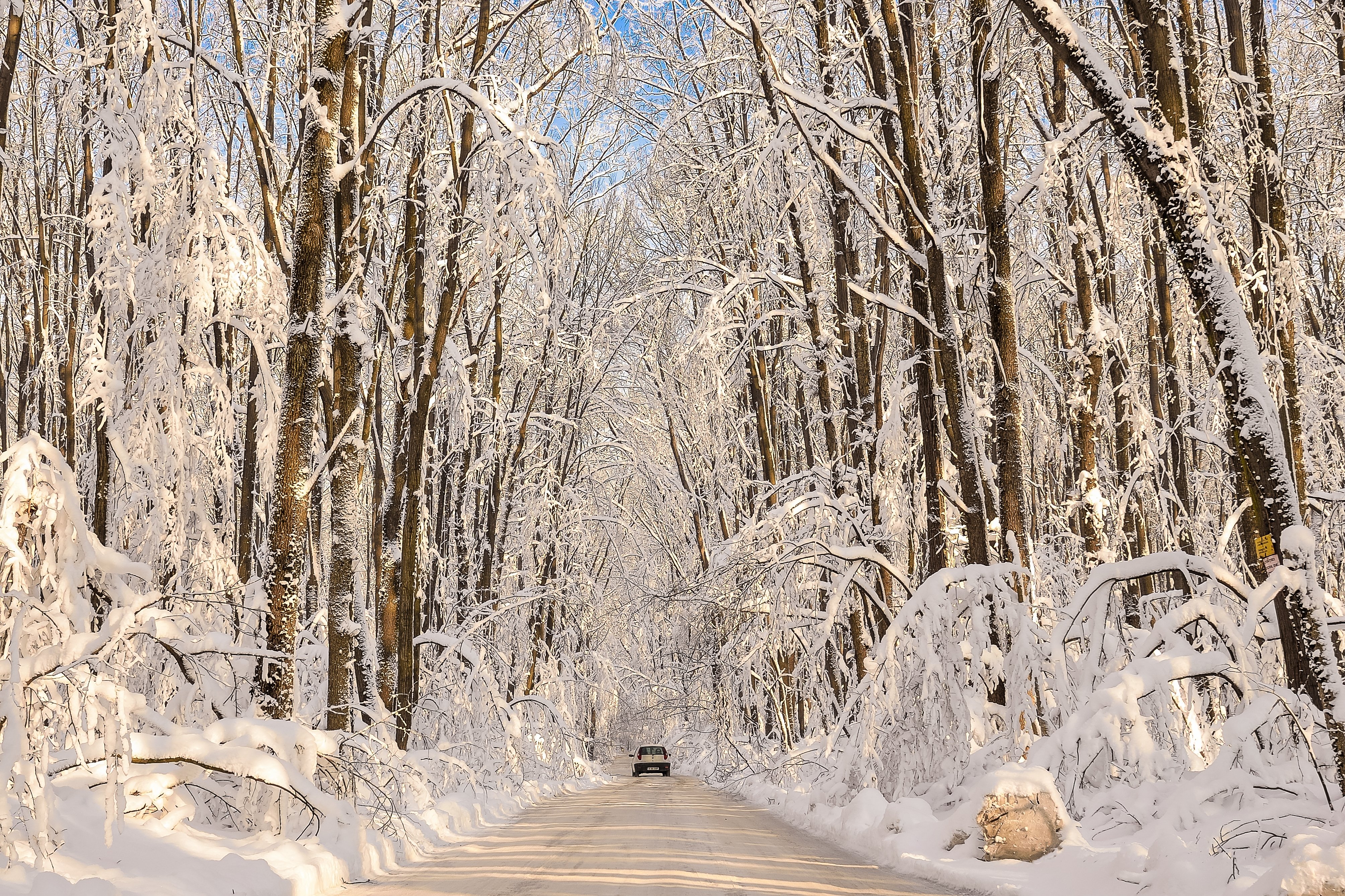 forests, Winter, Roads, Snow, Nature Wallpaper