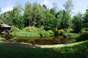 switzerland, Parks, Pond, Trees, Grass, Park, Seleger, Moor, Nature