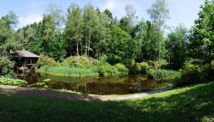 switzerland, Parks, Pond, Trees, Grass, Park, Seleger, Moor, Nature HD Wallpaper Desktop Background