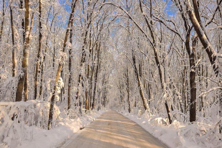 winter, Forests, Roads, Snow, Nature HD Wallpaper Desktop Background