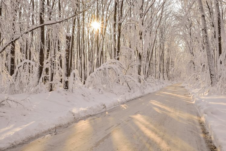 roads, Winter, Forests, Snow, Nature HD Wallpaper Desktop Background