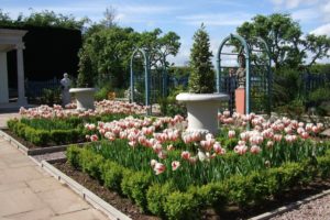 united, Kingdom, Parks, Tulips, Sculptures, Laskett, Gardens, Nature