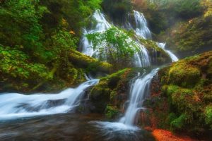 usa, Waterfalls, Moss, Panther, Creek, Falls, Columbia, River, Gorge, Skamania