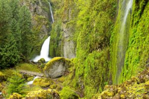 usa, Waterfalls, Stones, Crag, Moss, Wahclella, Falls, Columbia, River, Oregon, Nature